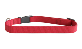 Embroidered Dog Collar Red embroided dog collar, 30-46cm in length and 1.5cm wide, lightweight nylon, customizable with dog's name and details.