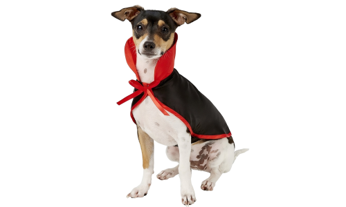 Costume de vampire pour chien, noir et rouge, avec col haut et nœud, ensemble 2-en-1, léger, durable et réglable.