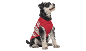 Printed Winter Sweater for Dogs Red winter sweater for dogs with white snowflake pattern, washable, providing warmth and festive style.