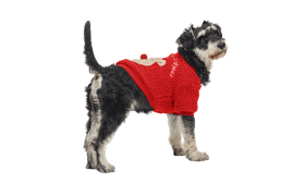 Manteau de Noël Boutonné pour Chiens Manteau de Noël rouge pour chien avec boutons, design ours en peluche au dos, lavable, chaud et stylé.