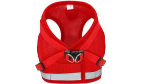 Gilet Harnais Réfléchissant pour Chien avec Laisse Harnais réfléchissant rouge pour chien avec laisse assortie, ajustable pour un ajustement confortable et sécurisé.