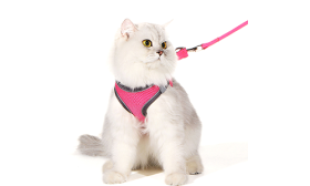 Reflective Cat Harness Vest Pink reflective cat harness vest with a matching leash, adjustable and lighweight, 140cm leash, high-quality nylon.