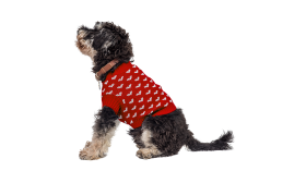 Printed Heart Sweater for Dogs Dog wearing a cosy red sweater with white heart patterns, perfect for warmth and style during colder seasons.