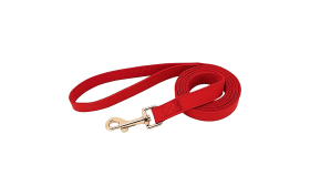Dog Harness Kit with Collar and Leash Red dog harness kit with matching collar and leash, lightweight, with gold metal buckle, adjustable for comfortable fit.
