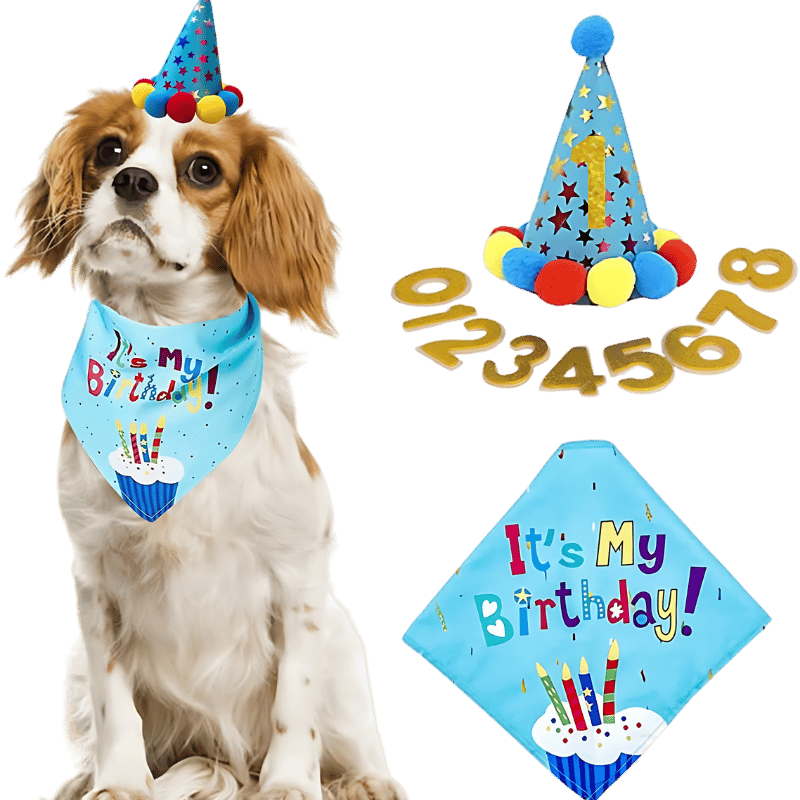 Ensemble d'anniversaire avec Bandana pour Chien Set d'anniversaire pour chien bleu avec bandana coloré "C'est mon anniversaire !", doux et durable.