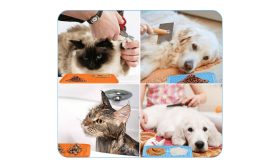 Tapis de Léchage pour Chien non Toxique avec Spatule Tapis de Léchage pour Chien non Toxique avec Spatule