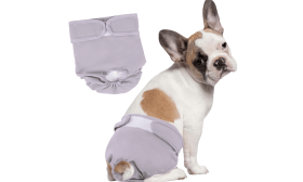 Couche Lavable de Qualité Supérieure pour Chiens - Femelles Couche Lavable de Qualité Supérieure pour Chiens - Femelles