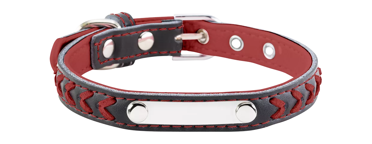 Collier pour Chien Brodé Collier chien tressé rouge avec plaque ID intégrée pour gravure, 27-34 cm x 1,5 cm, personnalisable avec nom gravé.