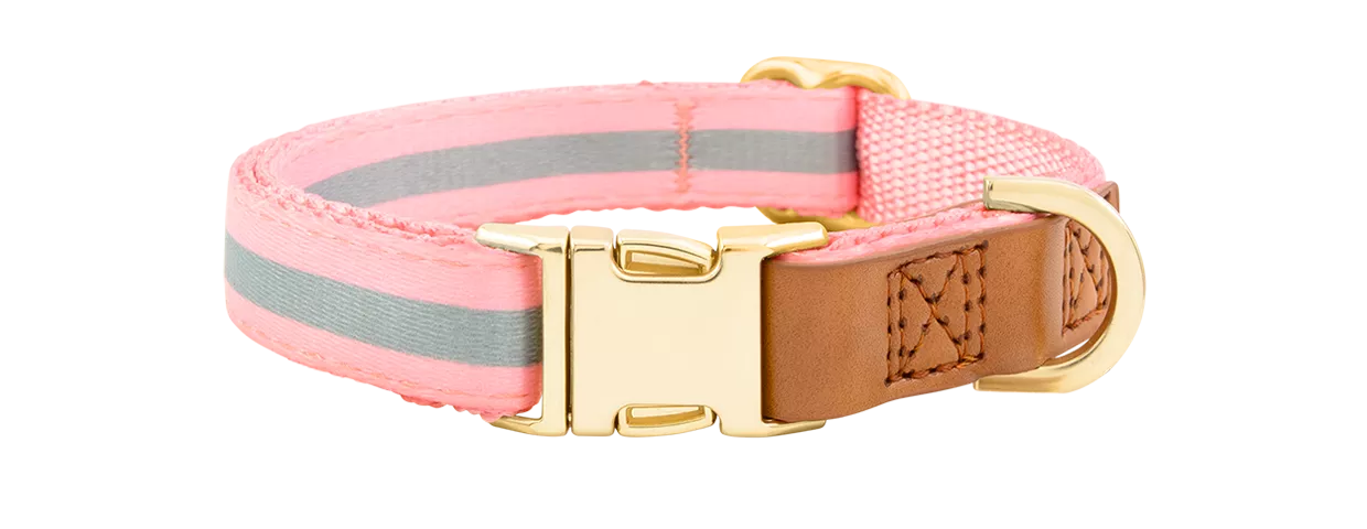 Collier pour Chien avec Boucle Dorée Gravée Collier chien rose clair avec boucle métal dorée pour gravure du nom, 40-63 cm x 2,5 cm, avec anneau en D robuste.