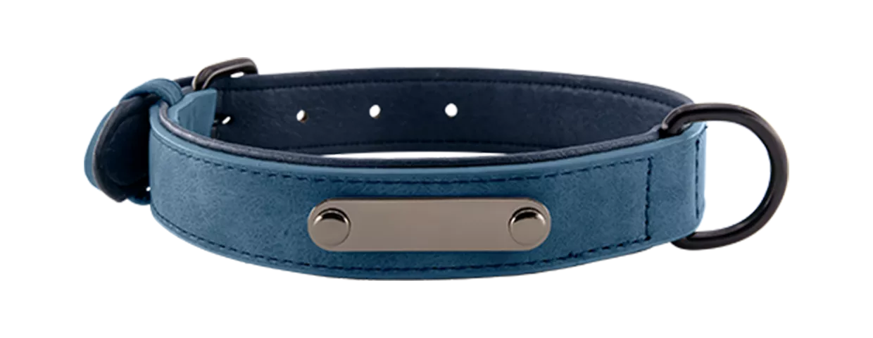 Collier pour Chien avec Plaque de Nom Gravée Velours Collier chien en velours bleu de luxe avec plaque ID pour gravure du nom, 35-37 cm x 1,7 cm, avec anneau en D.
