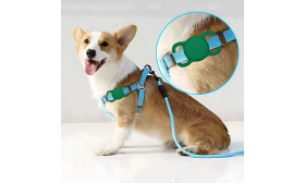 Durable Silicone AirTag Holder for Dog Collars – Anti-Lost Protection Durable Silicone AirTag Holder for Dog Collars – Anti-Lost Protection