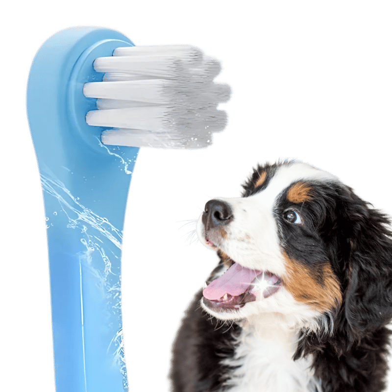 Brosse à dents Gentle Clean pour chiens et chats avec poils souples en nylon