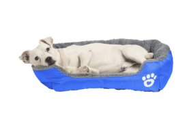 Soft Dog Bed Soft Dog Bed