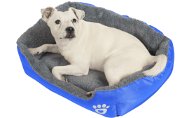 Soft Dog Bed Soft Dog Bed