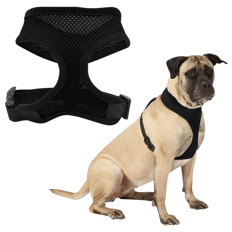 Harnais pour chien Dogidtags.ca