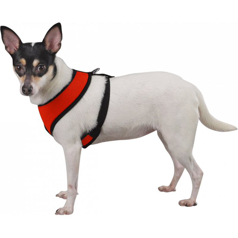 Harnais pour chien Dogidtags.ca