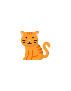 Cat Accessories - Dogidtags.ca