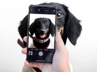 How to Capture the Perfect Dog Photo: Tips, Tools, and Accessories for Stunning Shots