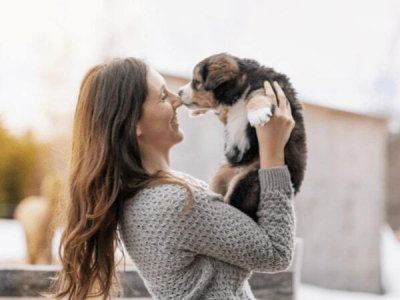 Adopting a Dog with a Name: Should You Keep It or Change It?